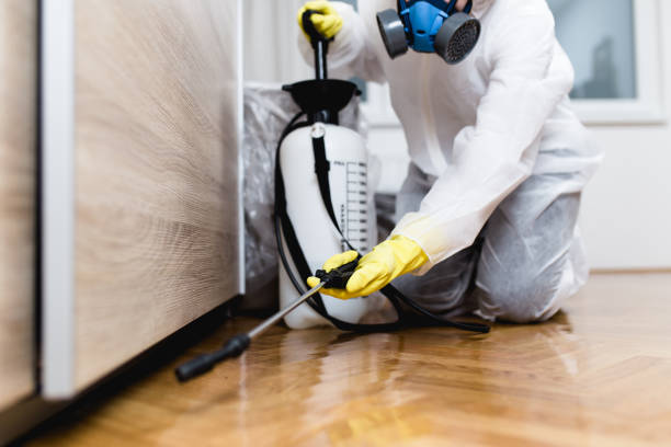 Pest Control Cost in Rutledge, GA