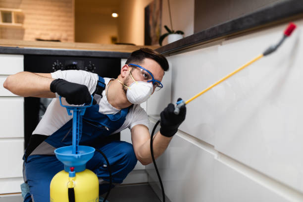 Best Affordable Pest Control Services  in Rutledge, GA