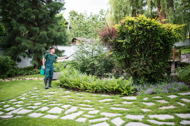 Best Best Pest Control Companies  in Rutledge, GA