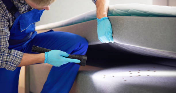 Best Wasp Removal Services  in Rutledge, GA