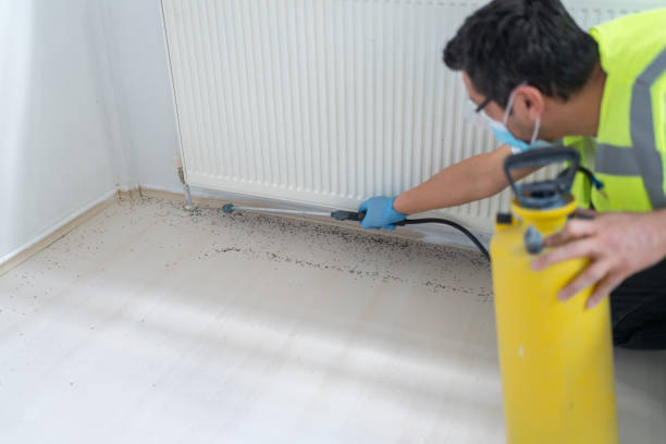 Best Residential Pest Control  in Rutledge, GA